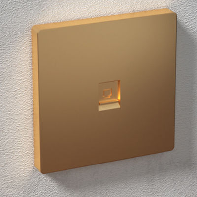 ANSHI 86 Type 2 poorten Gezichtplaat met gouden bespuiting & met sluiter